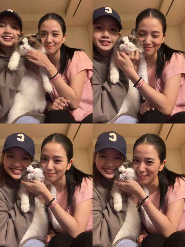 Blackpink Weverse live | Blackpink 6th Anniversary ; Blackpi