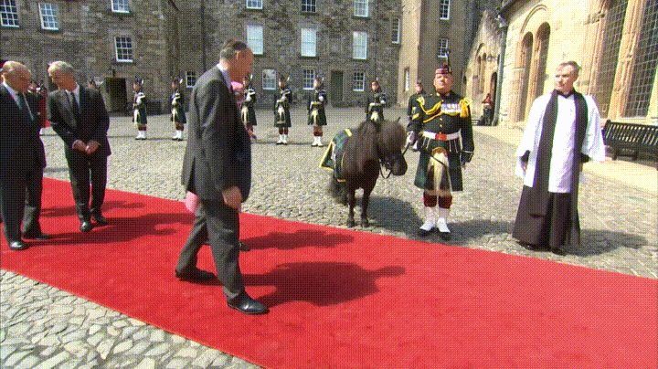 Pony tries to eat the Queen's flowers at Stirling Castle but