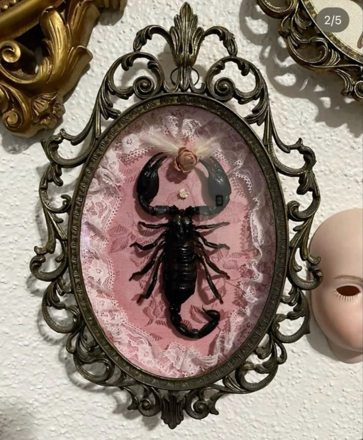 Coquette style scorpion picture frame  Tag my account if rep