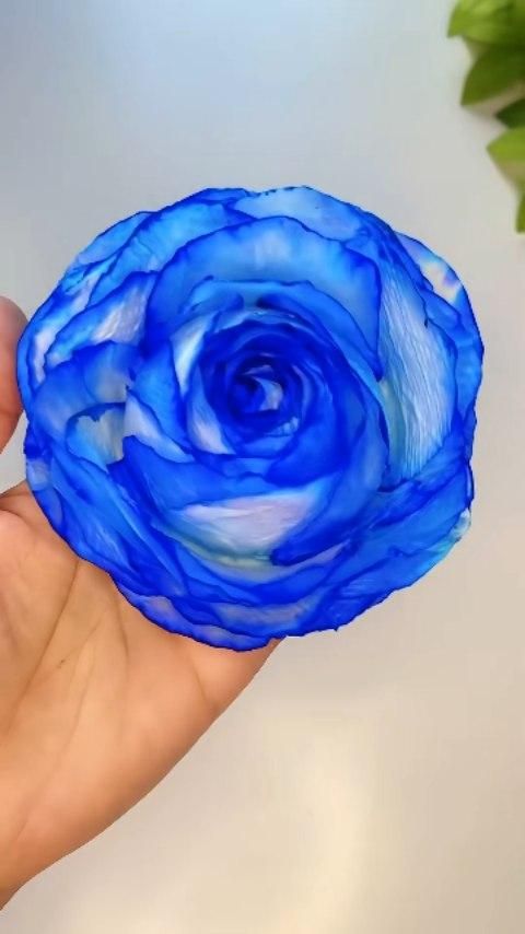 DIY Tissue Paper Flowers 🌺   #diy #instagrowth #igreach #exp