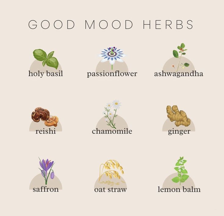 Have You Tried These Good Mood Herbs? 🌿