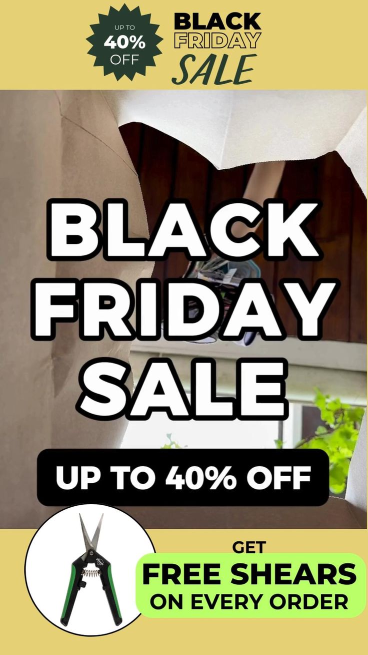 Black Friday Sale is on Now! Get the lightweight, high-perfo