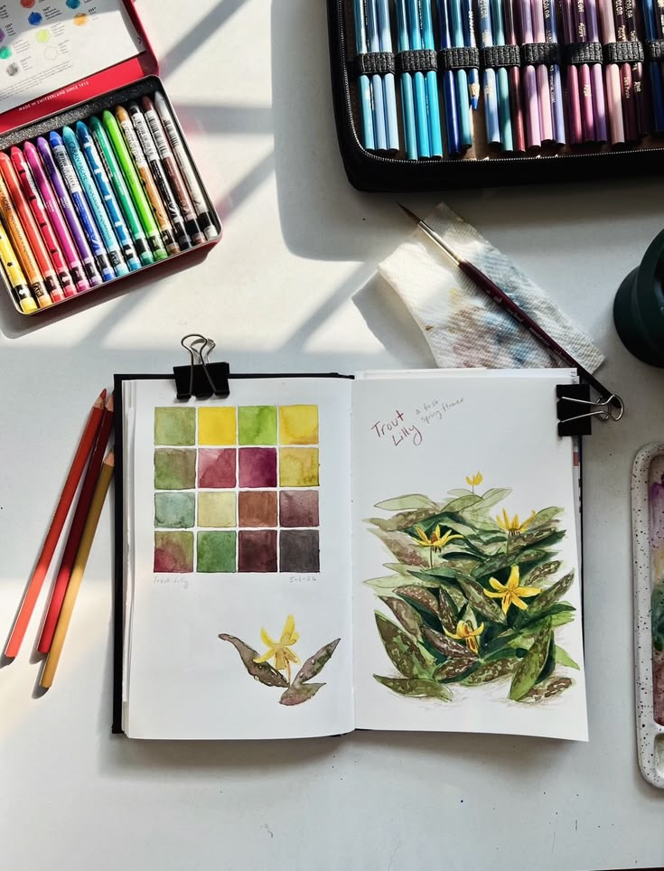 A little tribute to the humble Trout Lilly! This native flow