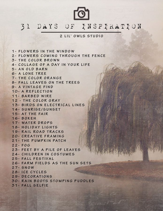 31 Days of inspiration - photography inspriation from 2 lil 
