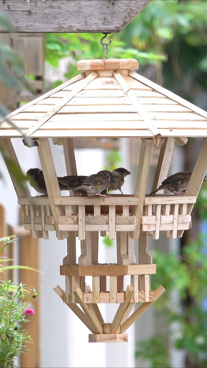 Do you love the sound of birds singing and chirping around y