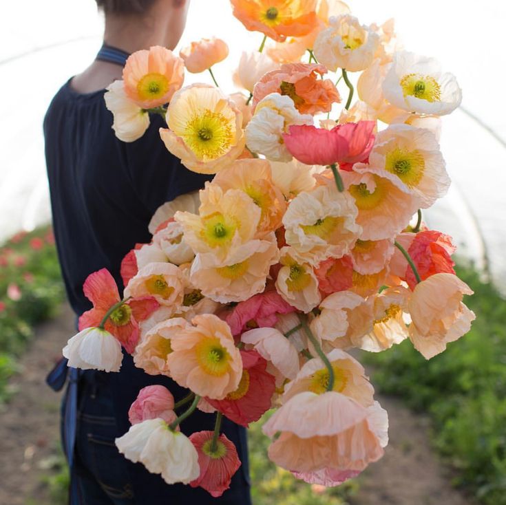Amazing florists to follow | Flowers on Instagram | 100 Laye