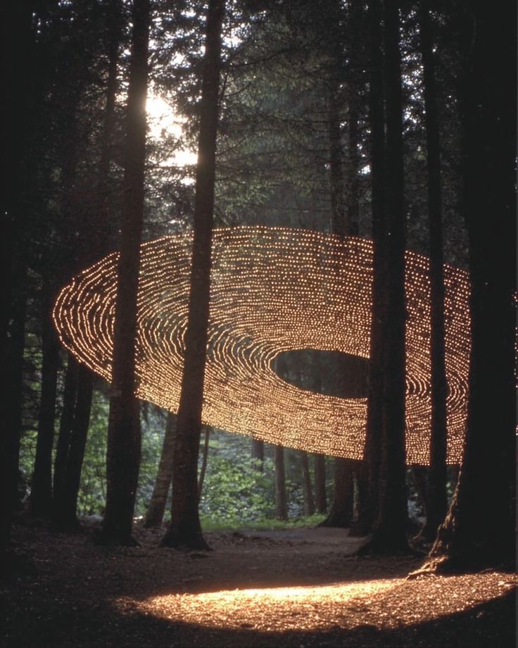 Technology-assisted, emotive art capturing light, interconne