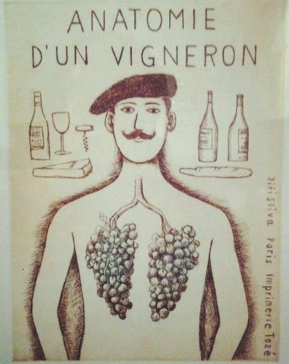 muy original! vino mxm http://vinomercaderquesada.blogspot.c