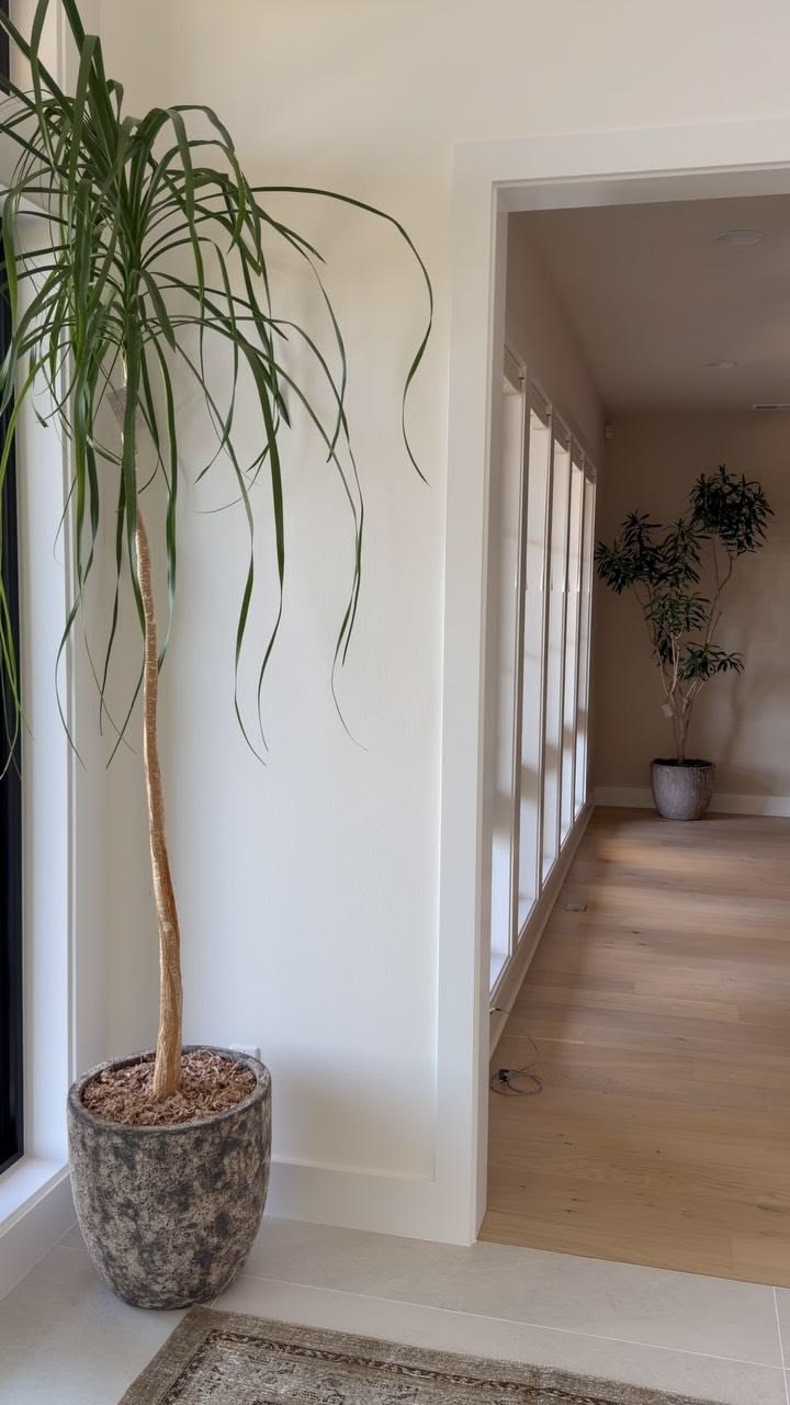New install w/ @francisblumer