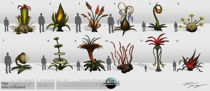 avatar plant concept art - Google Search