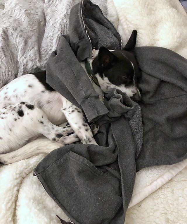 I looked over and realized that not only was Henry snuggled 