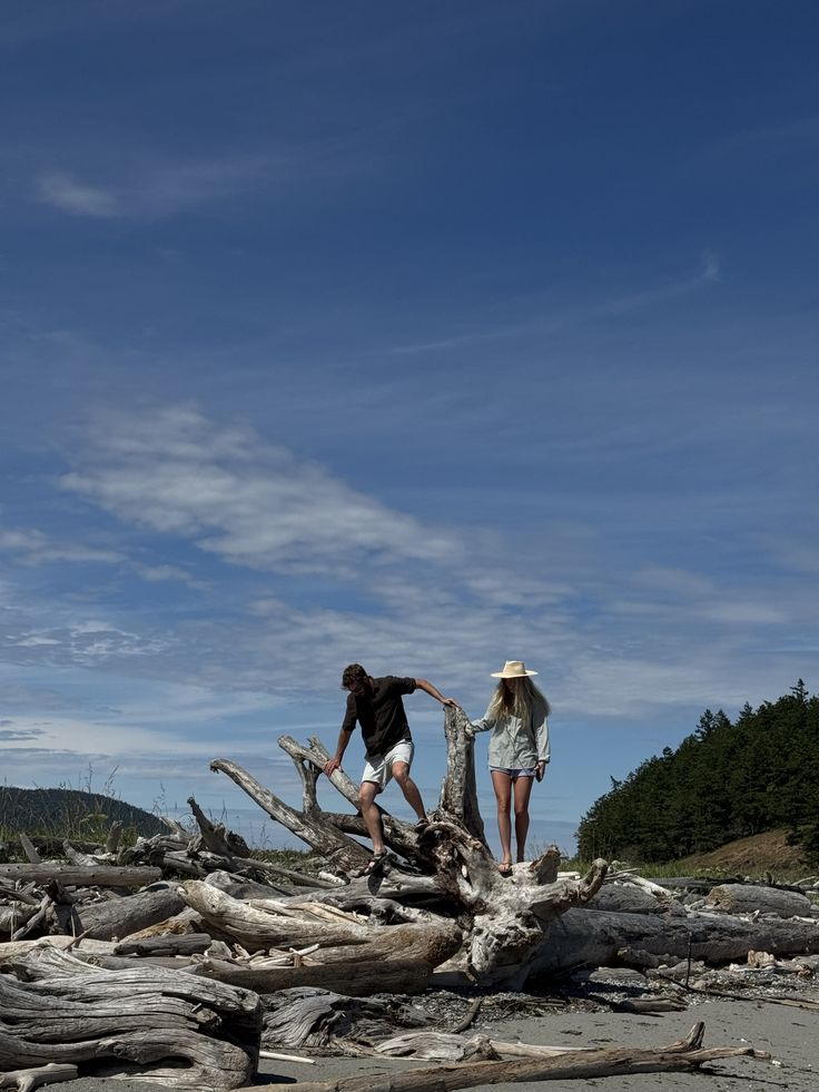 Summer love, relationship, driftwood, beach life