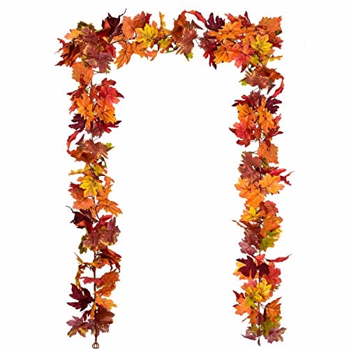 Elevate your home decor with stylish and versatile items. Tr