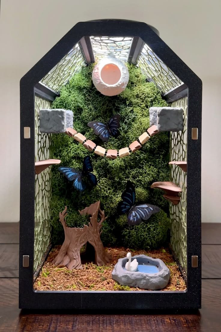 This fully assembled and decorated jumping spider enclosure 