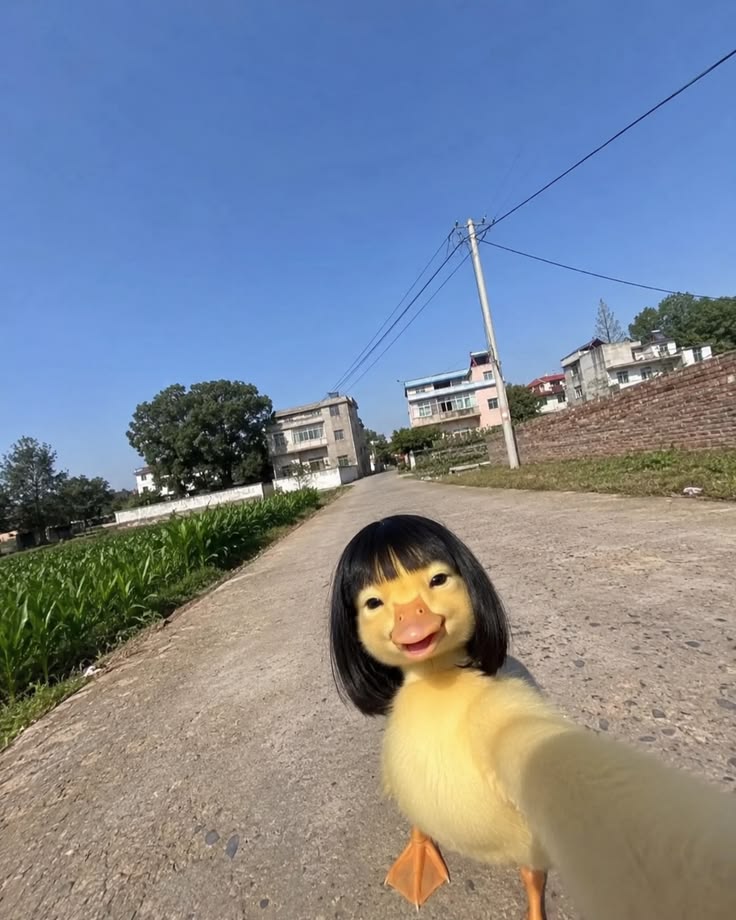 🐥