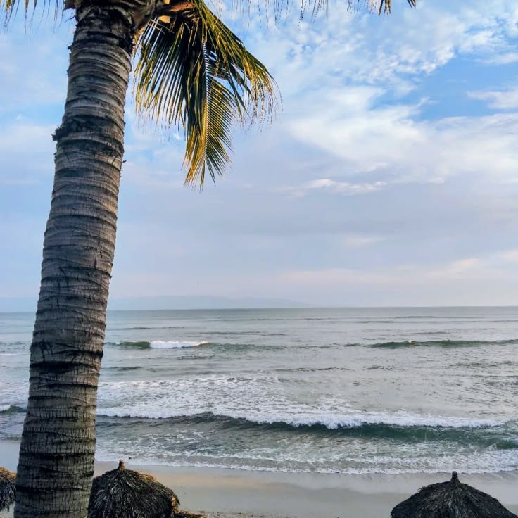 My pic!    #aesthetic #beach #mexico #vacation #waves #palmt