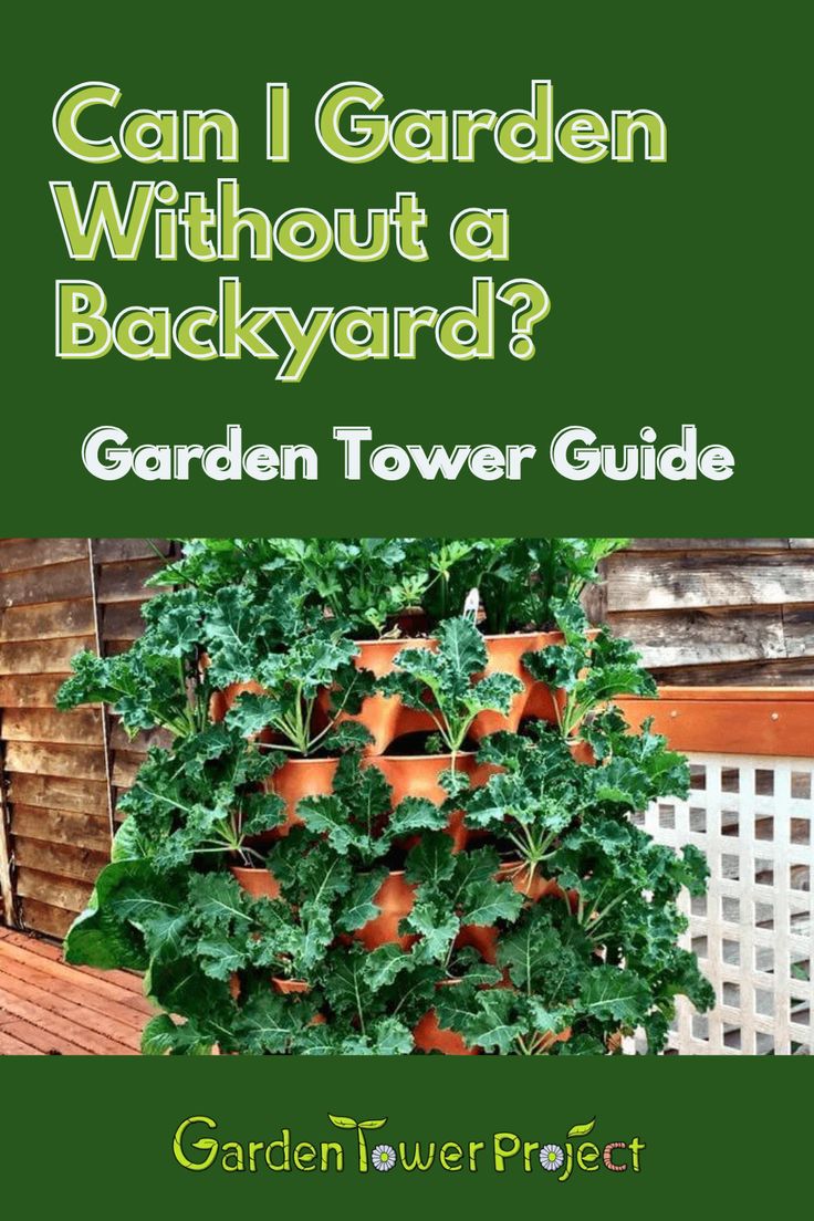 No backyard? No problem. Discover how you can grow fresh, or