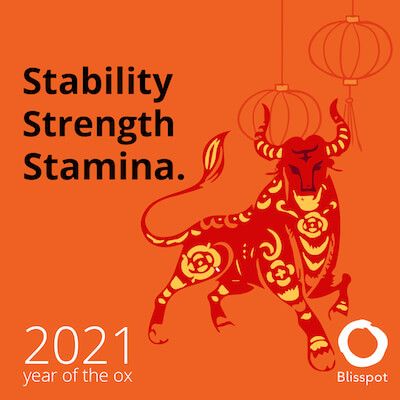 The Chinese Zodiac, it can be fun and meaningful to explore 