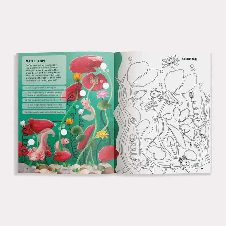 Packed with engaging activities and axolotl-themed fun, this