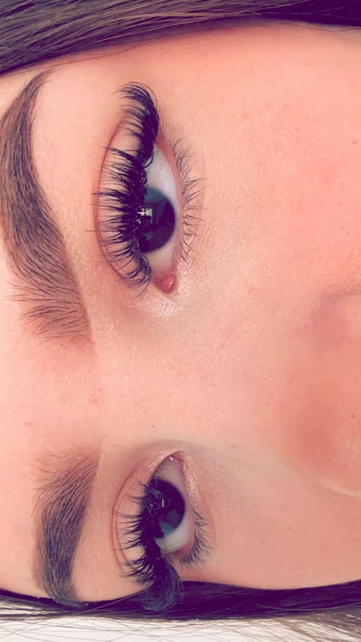 lash designer