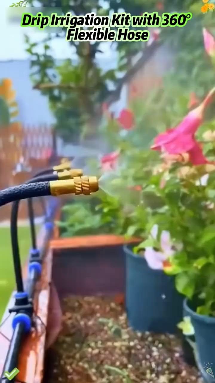 Experience a beautiful, thriving garden that practically tak