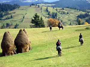 Organic Holidays, Count Kalnoky’s Riding Treks, Riding Holid
