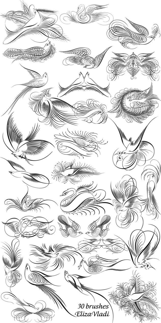 Beautiful bird flourishes!
