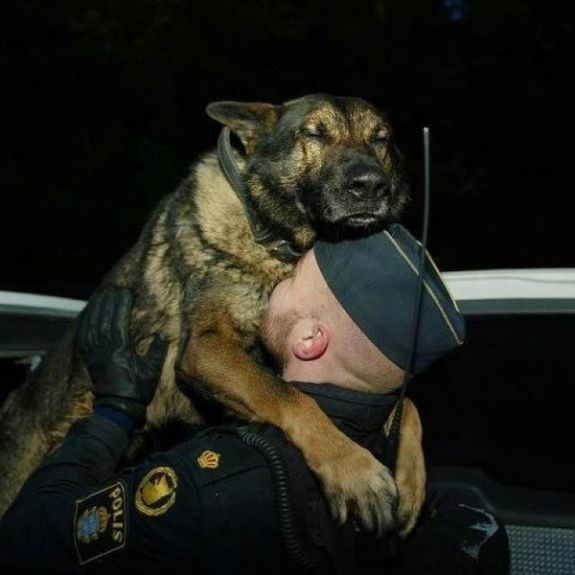 A soldier and a dog hug each other in their reunion. Just lo