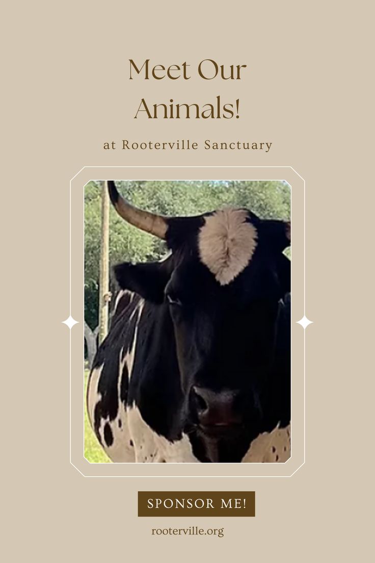Rooterville is home to over 100 amazing animals -- from cats