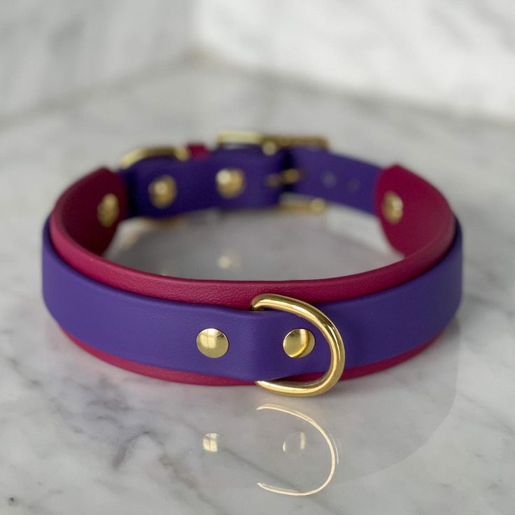 BEAR DOG - Collars & Leashes on Instagram: “Happy Friday! An