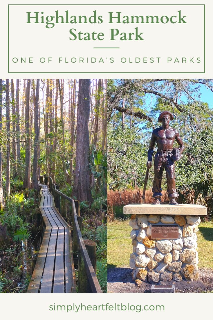 Highlands Hammock State Park, One of Florida's Oldest Parks 