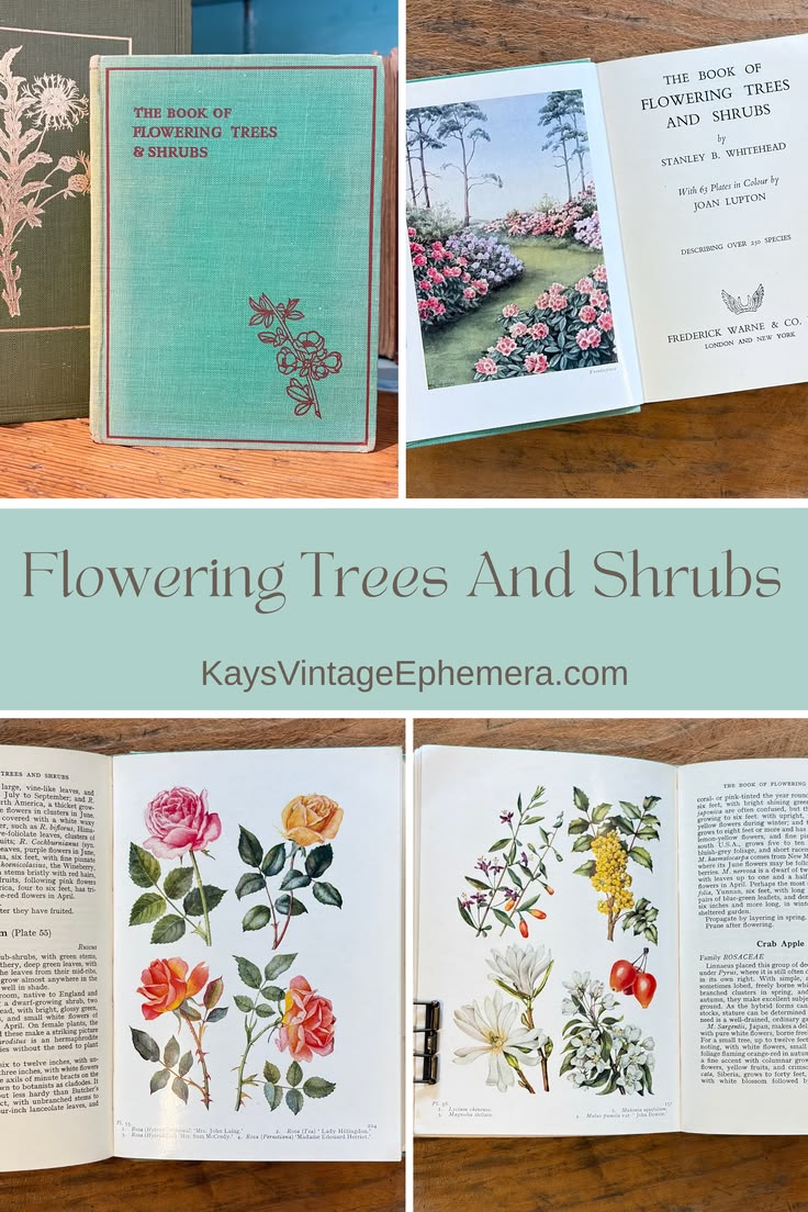 Vintage pocket guide to over 250 species of flowering trees 