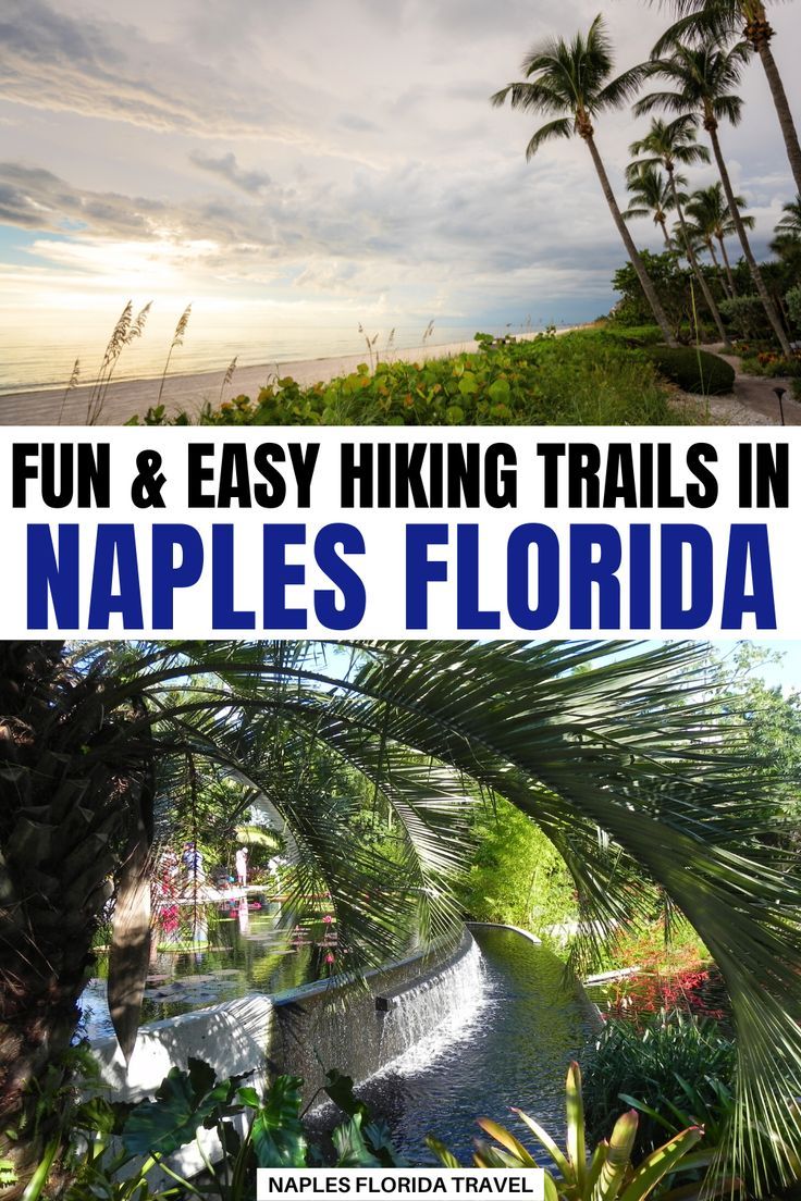 Fun and Easy Hiking and Walking Trails, Naples Florida! Are 