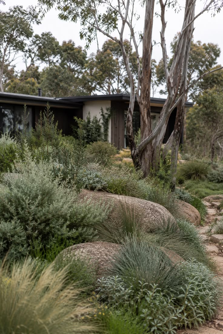 The best native gardens don't frame architecture, they absor