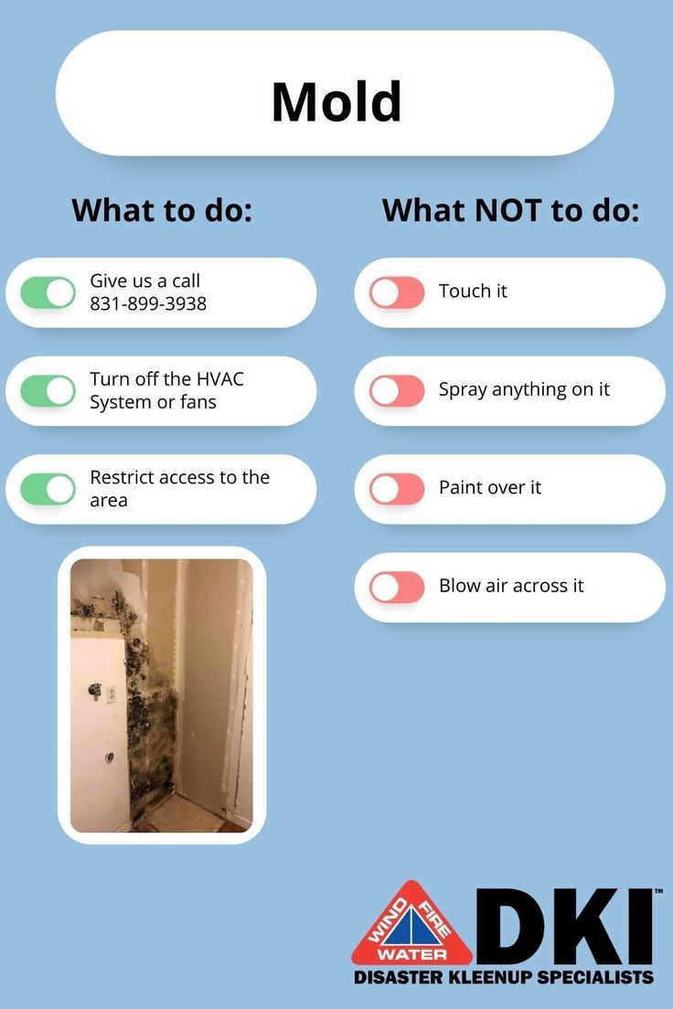 Think you may have found microbial growth in your home? What