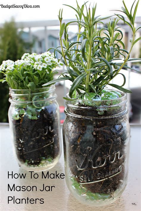 potting plants in glass jars. There are any references about