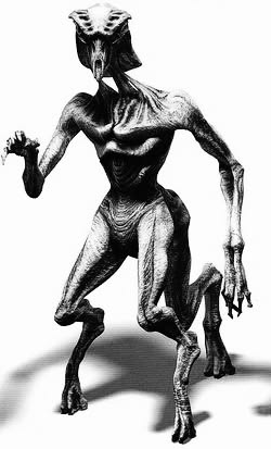 #species #assimilate #luxurydotcom
