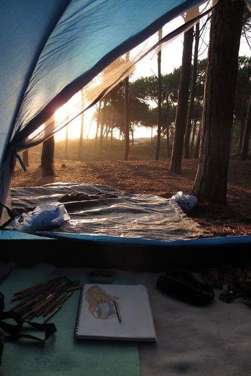 nature, camping, and forest image