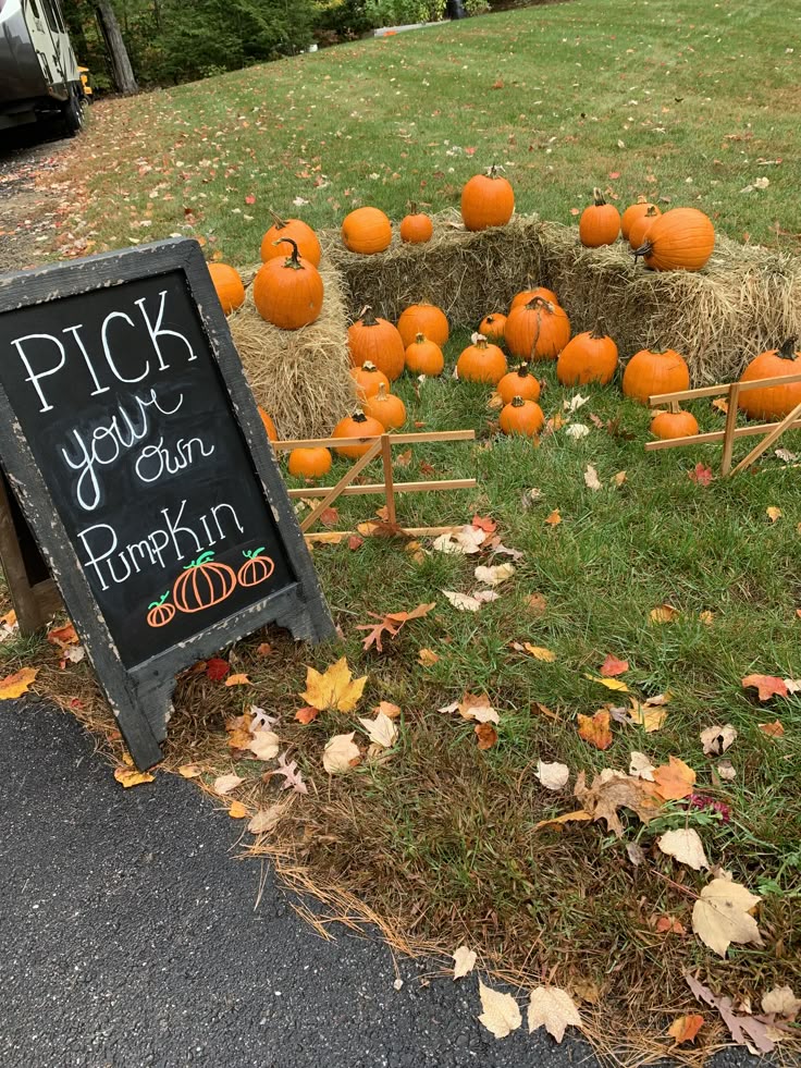 Baby birthday  Pumpkin patch  Fall themed birthday  Pumpkins