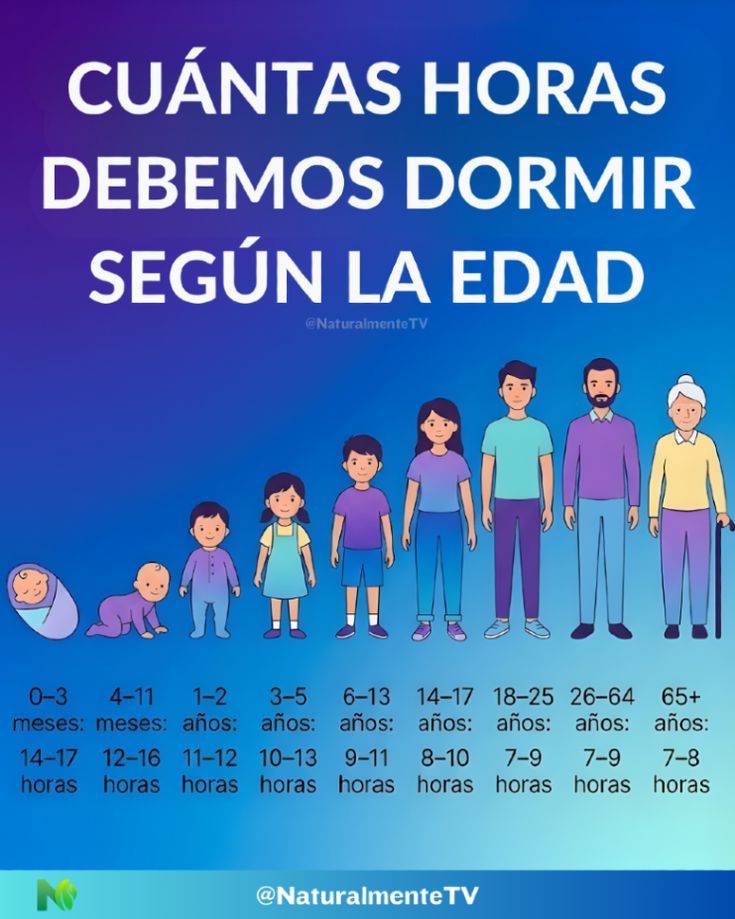 Dormir bien es tan importante como comer bien 🌙💤
Cada edad t