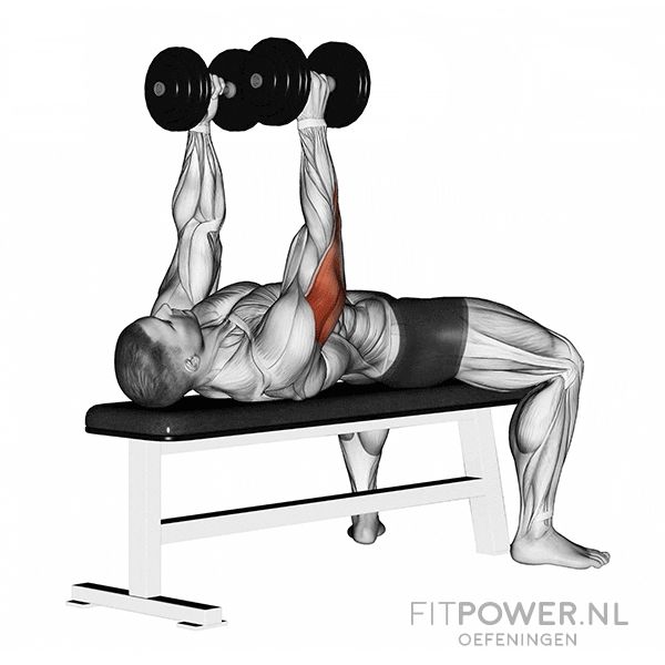 Lying dumbbell tricep extension oefening - Triceps