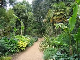 Image result for sub tropical gardens