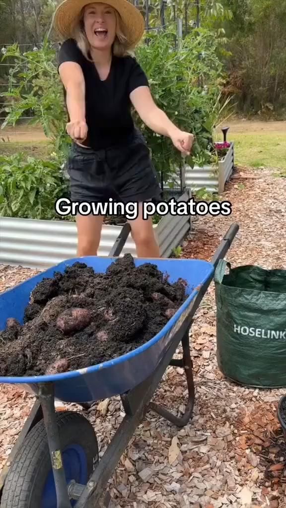 Don’t toss those spuds! 🥔
Give them a second life by growing