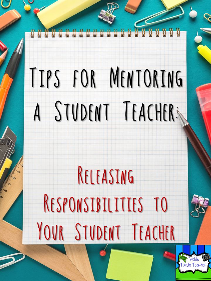 Techie Turtle Teacher: Tips for Mentoring a Student Teacher 
