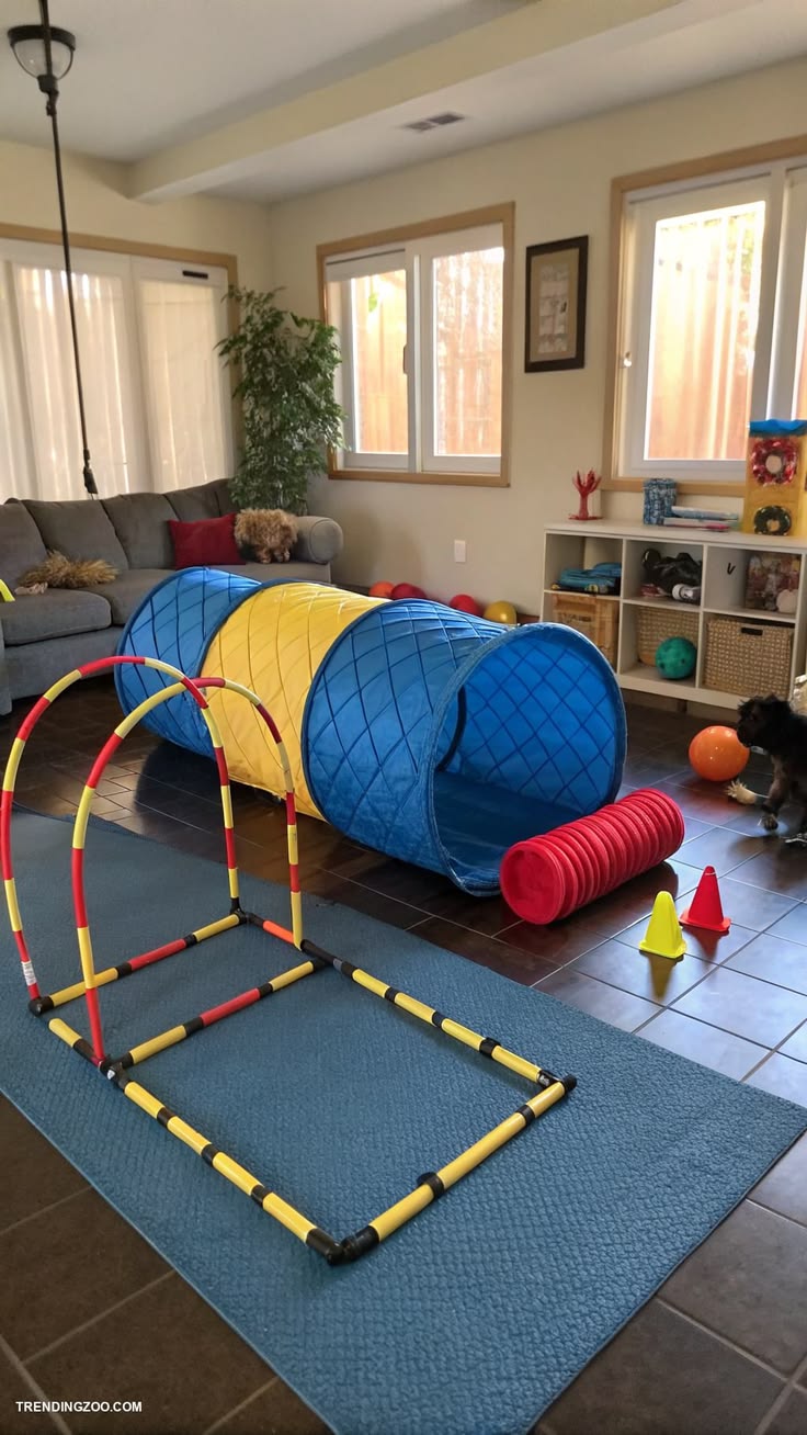 Transform a corner of your living room into an indoor agilit