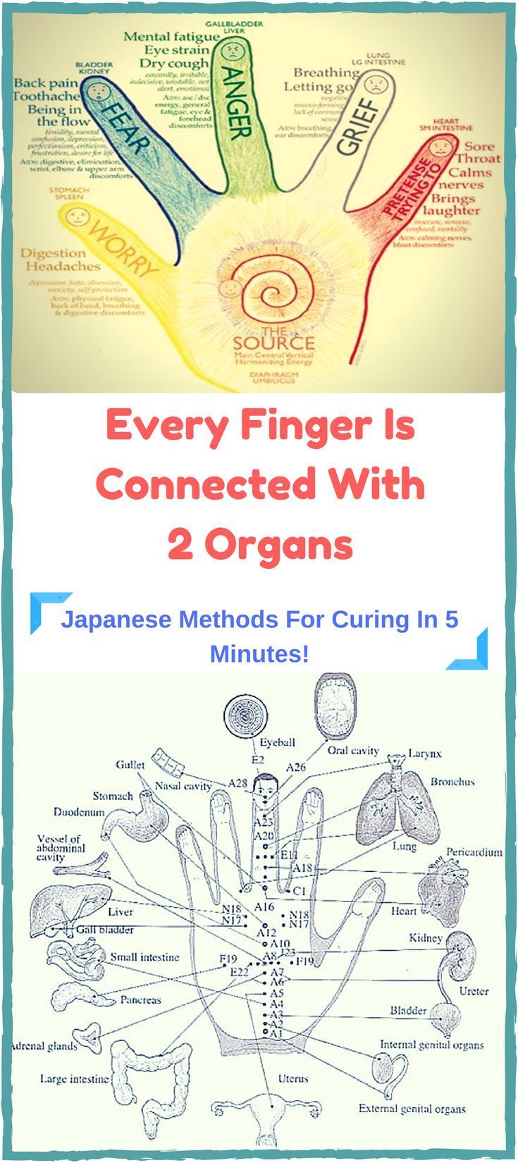 Every Finger Is Connected With 2 Organs: Japanese Methods Fo
