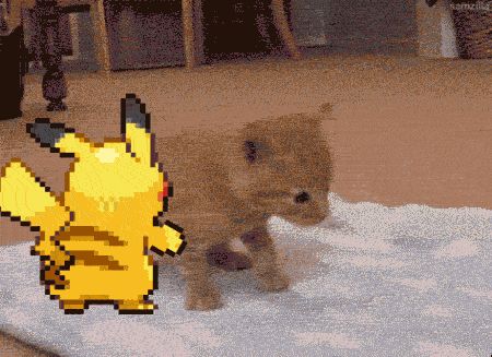 Pika pika spadaj
