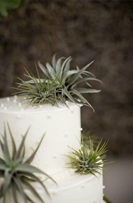 Organic Wedding Cake by Beth Helmstetter