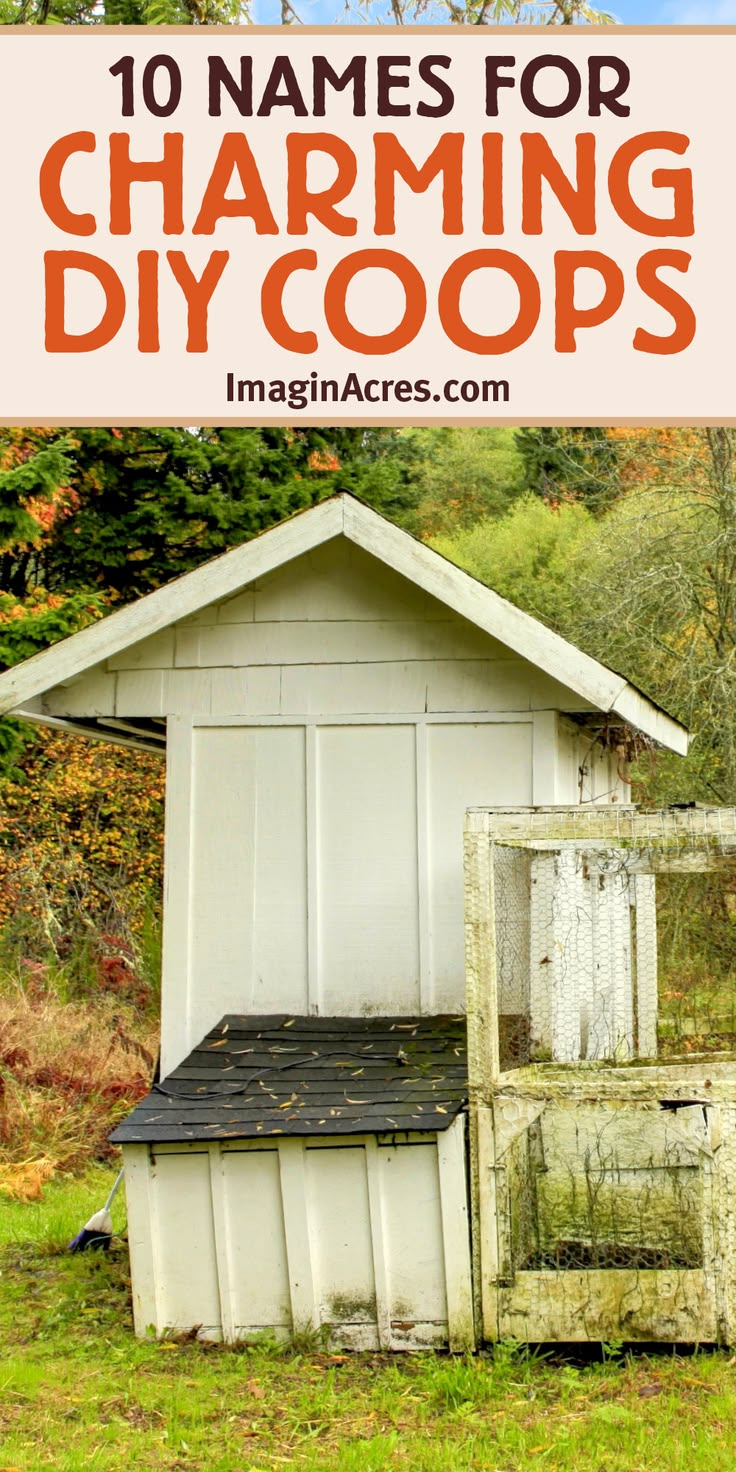 Not every coop is a masterpiece, and that’s okay! If your ch