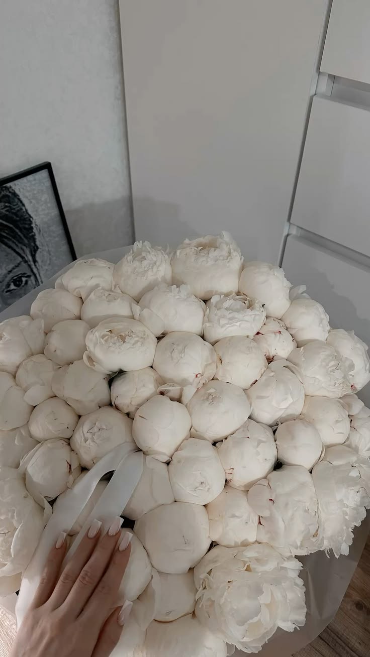 цветы пионы букет peonies, paeonies, peony blooms, peony flo